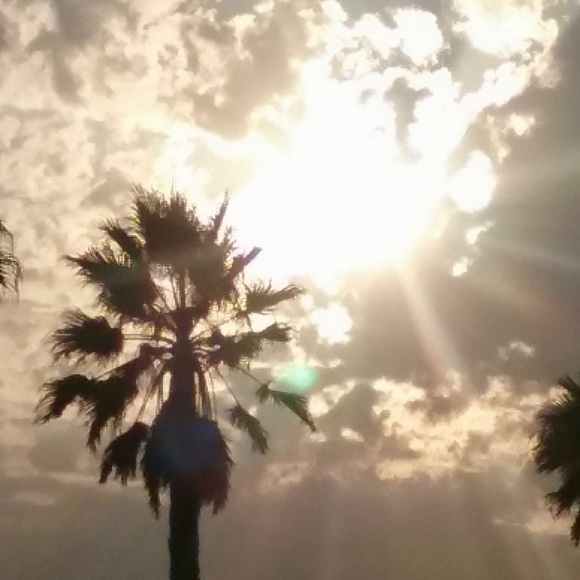 Meet your Posher, Leticia - Picture 1 of 1